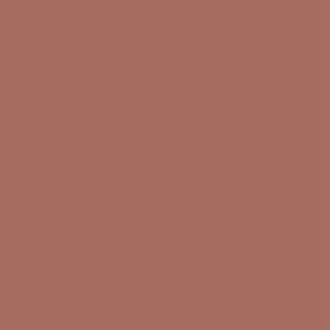 Spiced Chai (Neutral Medium Brown)